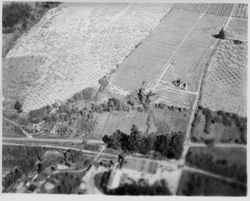 Aerial view of the Graton area in Sonoma County, 1950