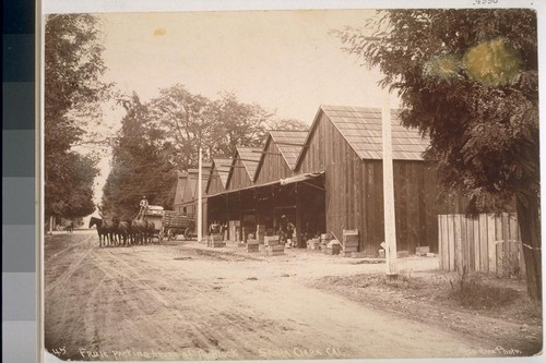 Fruit packing house of A. Block, Santa Clara, California (on back: cherries, plums, pears, peaches) No. [45?, possibly cropped]