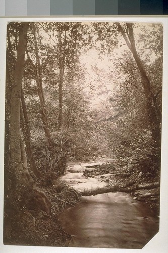 Creek scene in winter, near Saratoga, California (hand colored)