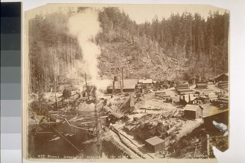 Blooms lumber mill showing the line of Big Basin forest. No. 477