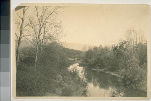 Coyote Creek near San Jose