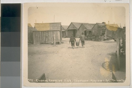 Chinese carrying fish, Chinatown, Monterey, California. No. 770