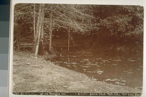 At the close of an autumn day, log bridge, Santa Cruz Mountains, California No. 388