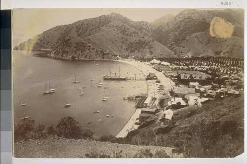 [Cove with pier and boats, Avalon harbor, Santa Catalina Island (Calif.)]