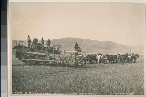 A combined harvester in a California grain field. No. 607