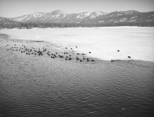 Wintertime at Big Bear Lake