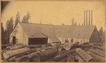 [Sierra Lumber Co. sawmill, Lyonsville]