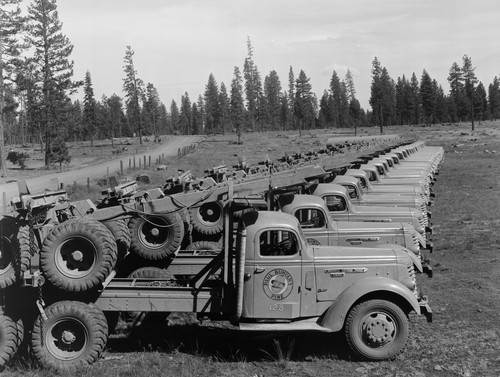 Diesel Logging Trucks
