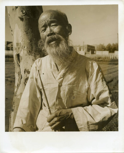 Portrait of an elder man