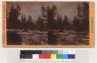 Scene on the Truckee River, near Donner Lake