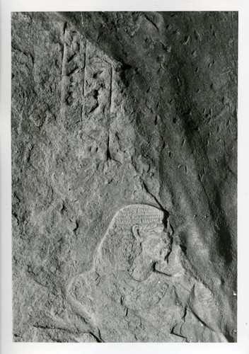 Carved figure and tomb hieroglyphs in Cave T 104A