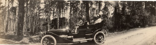 Auto touring through a forest, possibly on 17-Mile Drive