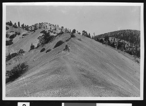 Mount Baldy, showing narrows near the summit, California, ca.1920