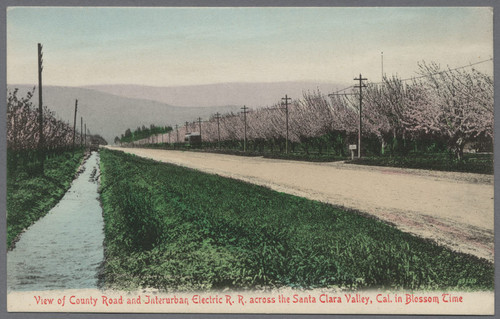 Postcard, County Road & Railroad, Santa Clara Valley, Blossom Time, ca. 1900