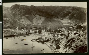Birdseye view of Avalon Harbor showing the steamer Hermosa II at the dock, 1903
