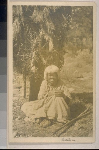 Old Lucy; Yosemite; photographed by Boysen; 2 prints, 1 negative