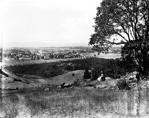 Sonoma, from the hills, about 1908