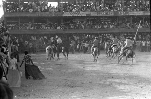 Picadors and bulls in the arena, San Basilio de Palenque, 1975