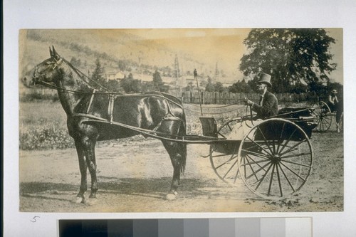 [Man on horse-drawn carriage] C.C. Pierce