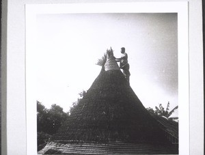Am Bau des Daches zu einer Rundhütte i. Bakosi