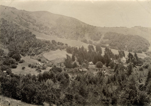 View of the Blithedale Hotel property, Mill Valley, circa 1889 [photograph]
