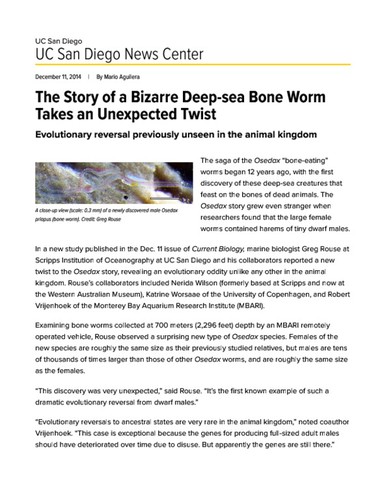 The Story of a Bizarre Deep-sea Bone Worm Takes an Unexpected Twist