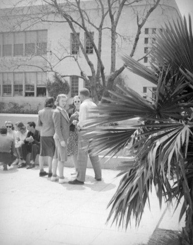 Students in front of Hollywood High School