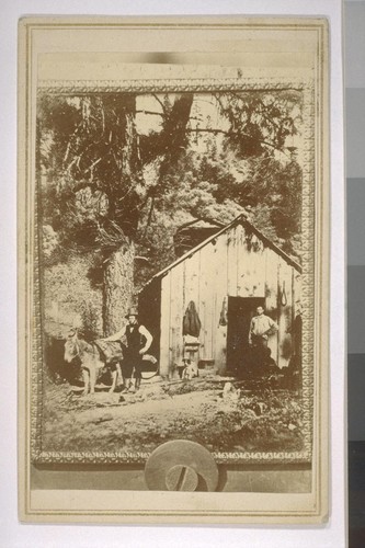 Self portrait of M. M. Hazeltine (left) and brother George I. in cabin on Clear Creek near Shasta in 1857 - while working gold claim