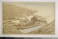 Albion Mills