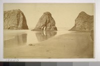 Coast at Ten Mile River
