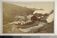 Albion Mills