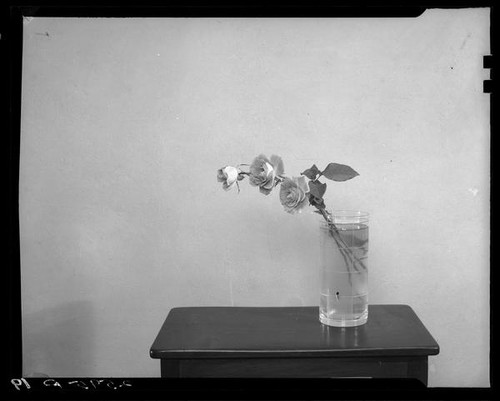 Japanese style flower arrangement with roses by Margaret Preininger, Los Angeles, 1935