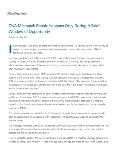 DNA Mismatch Repair Happens Only During A Brief Window of Opportunity