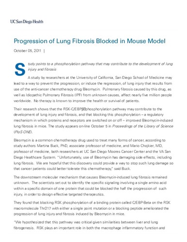 Progression of Lung Fibrosis Blocked in Mouse Model