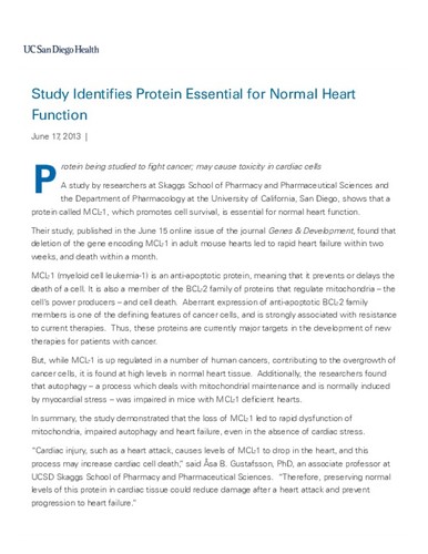 Study Identifies Protein Essential for Normal Heart Function