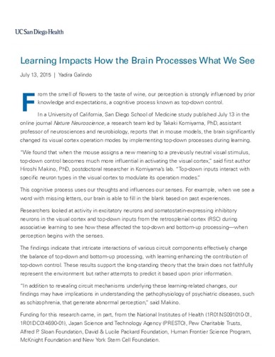 Learning Impacts How the Brain Processes What We See