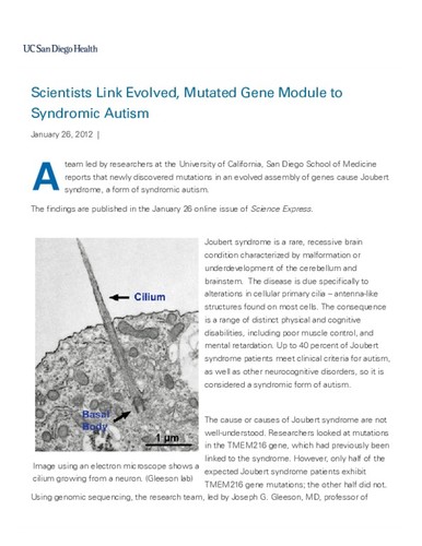 Scientists Link Evolved, Mutated Gene Module to Syndromic Autism