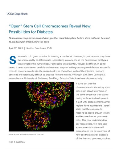 "Open" Stem Cell Chromosomes Reveal New Possibilities for Diabetes