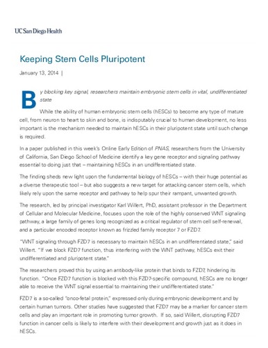 Keeping Stem Cells Pluripotent