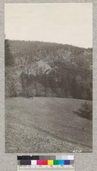 Open glades on Thones Creek, California National Forest, where numerous deer graze in winter. March 7, 1928. H.E.M