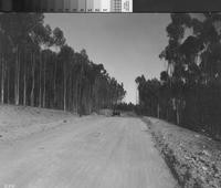 Automobiles along unpaved road, Palos Verdes Estates