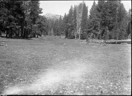 Meadow Studies, lower end of meadow showing slope of meadow Note hat, knife and short forage. Mt. Mitchell in background Figure 152 Armstrong Report. Light leak