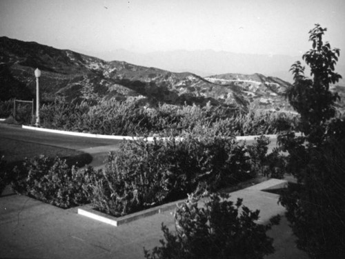 Paved area in Griffith Park