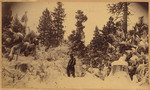 [Man standing in snow, Tehama County]