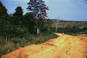 Road to Banyo, Cameroon, 1953-1968