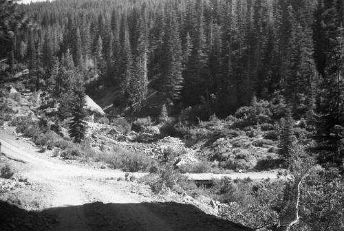 Mine camp of Potosi, Potosi Creek, Sierra County, California, near Howland Flat, SV-932