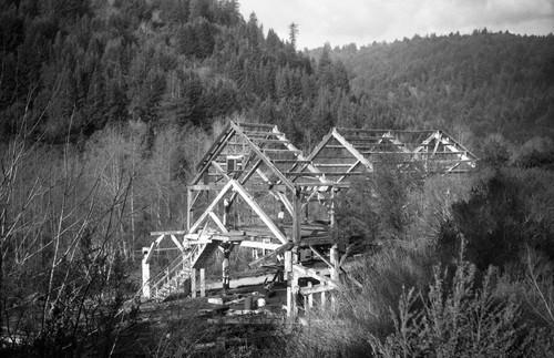 Skeleton, oldlumber mill, Olive Springs Road, Santa Cruz Mountains, California, SV-394