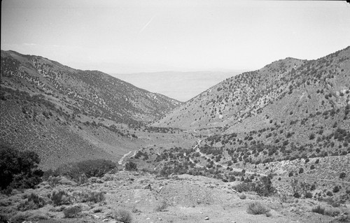 Oneota, Esmeralda, Mineral Counties, Nevada, SV-1189