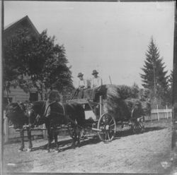 Henry Mumford Taylor and Al Howard driving a hay wagon