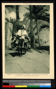 Man mounted on a donkey, Algeria, ca.1920-1940
